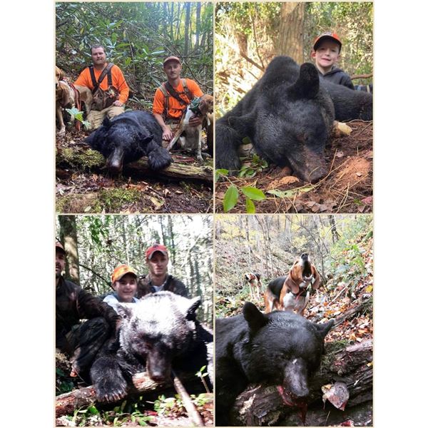 5 Day North Carolina Guided Black Bear Hunt