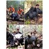 Image 1 : 5 Day North Carolina Guided Black Bear Hunt