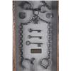 Image 2 : 19th C. Montana Peace Officer & Shackles Display