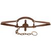 Image 1 : Duke Large No. 16 Bear Trap D Double Spring