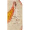 Image 7 : Ca. 1890- Ghost Dance Sioux Painted Dance Shield