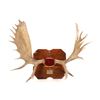 Image 1 : Large 1976 Canadian Moose Antler Mount - 53 1/2"