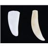 Image 1 : 19th Century Sperm Whale Teeth Collectable Set