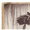 Image 2 : 19th C. Cheyenne Double Batwing Warrior Photograph