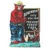 Image 2 : Smokey The Bear Embossed Polychrome Sign