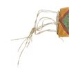 Image 2 : Blackfeet Elliptical Polychrome Parfleche Case
