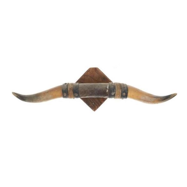 Vintage Western Shorthorn Steer Mount