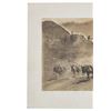 Image 3 : 1880's Montana Territory Mining Burro Team Photo