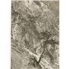 Image 6 : Original Haynes Yellowstone Park Photograph 1900-
