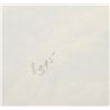 Image 9 : Original Haynes Yellowstone Park Photograph 1900-