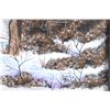 Image 5 : Cheyenne Artist Lyn R. Bixby Original Painting
