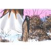 Image 7 : Cheyenne Artist Lyn R. Bixby Original Painting