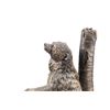 Image 2 : NRA "Unbearable Itch" Big Sky Carvers Sculpture