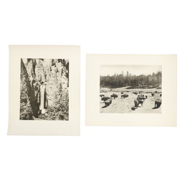 Two F. J. Haynes Original Yellowstone Photos (2)
