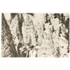 Image 4 : Two F. J. Haynes Original Yellowstone Photos (2)