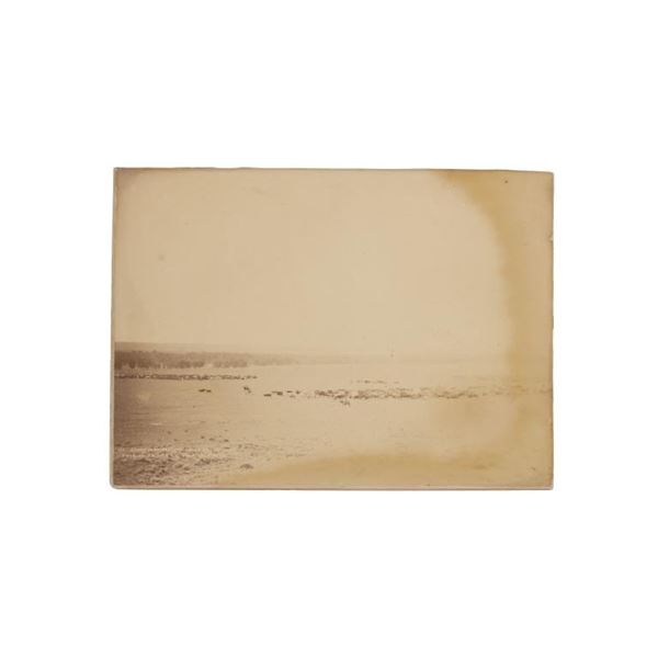 C. 1870-1880 Round Up at Robbers' Roost Photograph