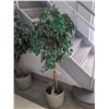 Image 4 : Set of 3 Artificial Trees