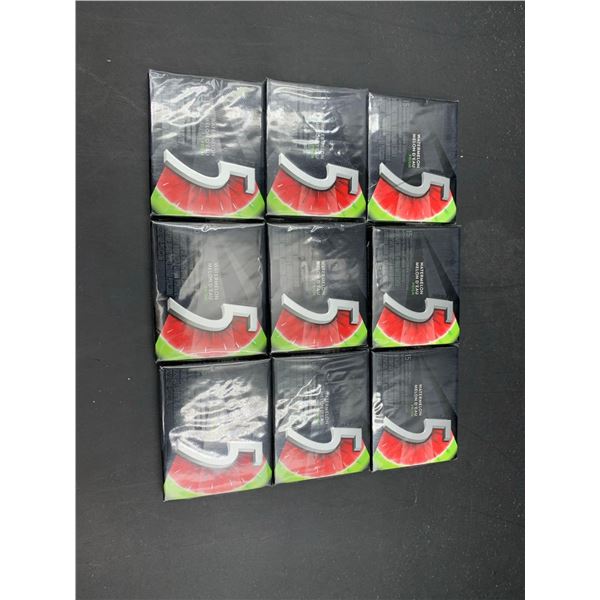 5 Gum Watermelon (9 x 15)