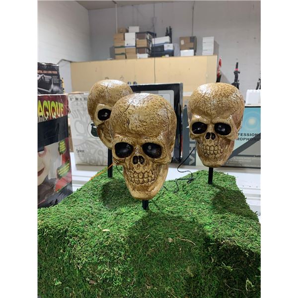 3 Skull Halloween Decor