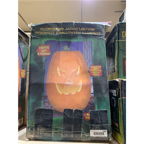 Illuminated Jack-O-Lantern