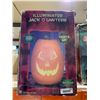 Image 2 : Illuminated Jack-O-Lantern
