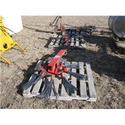 Brush Spider - Edwards