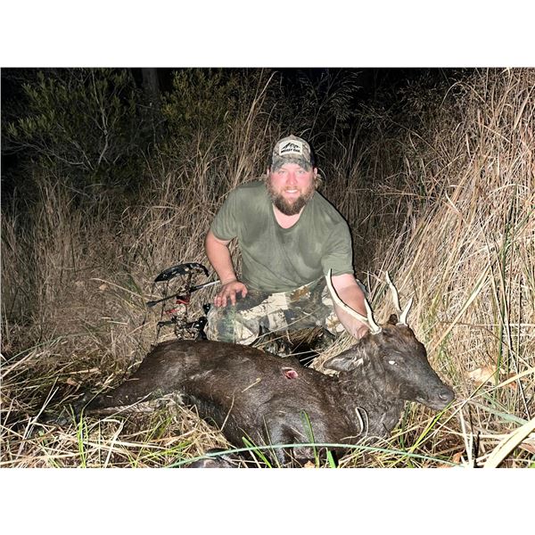 Maryland Sika Deer Hunt for 2!