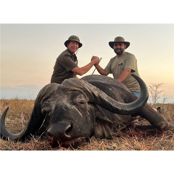 Tanzania Cape Buffalo Safari