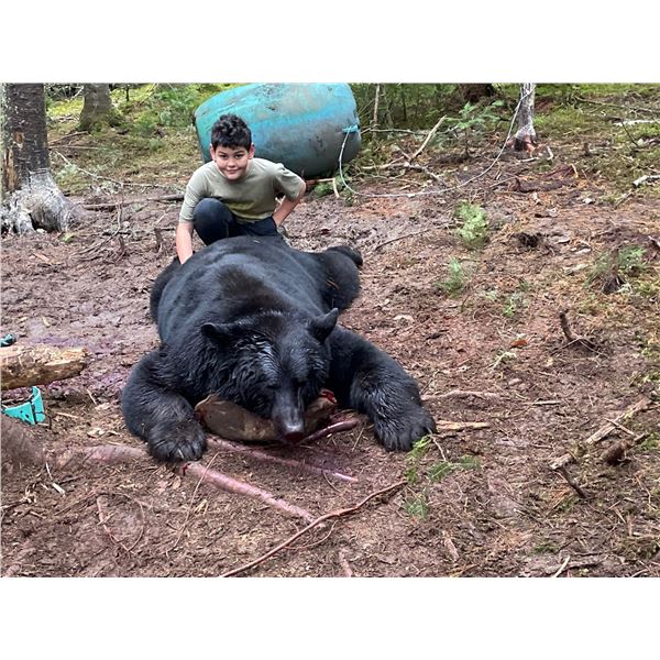 Maine Black Bear Trapping Adventure