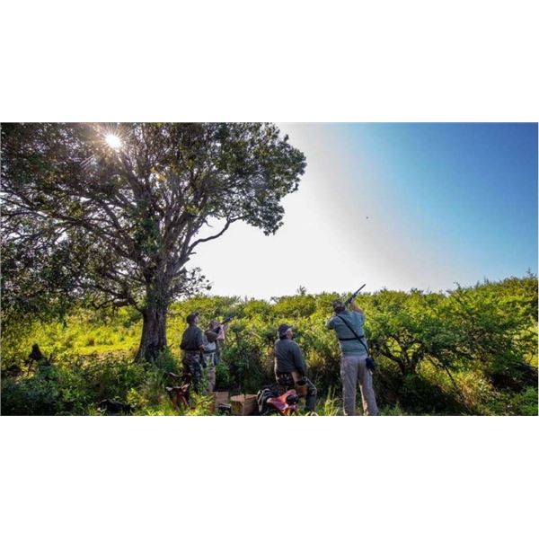 Argentina Dove Hunt for 6 Hunters!