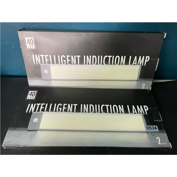 Lot of 2 Packs of Motion Sensor Rechargeable Lights (2pcs per pack)/4 Total