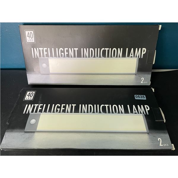 Lot of 2 Packs of Motion Sensor Rechargeable Lights (2pcs per pack)/4 Total