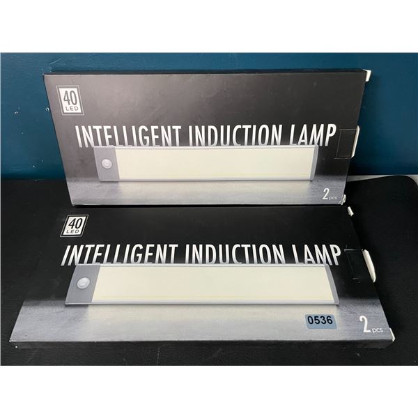 Lot of 2 Packs of Motion Sensor Rechargeable Lights (2pcs per pack)/4 Total