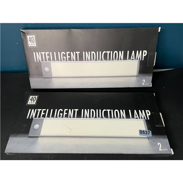 Lot of 2 Packs of Motion Sensor Rechargeable Lights (2pcs per pack)/4 Total