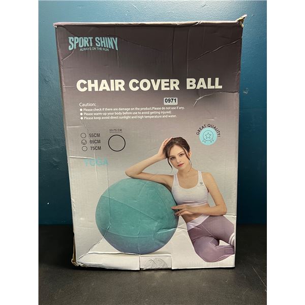 Lot of 1 65CM Red Premium Exercise Balance Ball