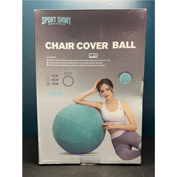 Lot of 1 75CM Beige Premium Exercise Balance Ball