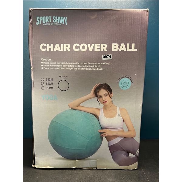 Lot of 1 65CM Red Premium Exercise Balance Ball