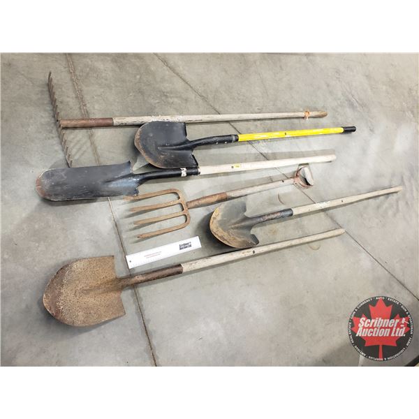 Long Handled Tools Combo (6) : Spade Shovels (3); Pitch Fork & Rake ...