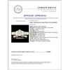 Image 5 : Roman Ivory Ladies Rolex YG/SS DateJust Watch
