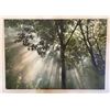 Image 1 : Large Modern Forest Photo On Canvas Print 54 x 77