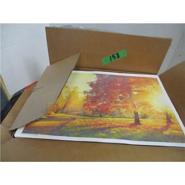 FREIGHT DAMAGE (AS IS):  BOX C/W 1000 PLACEMATS