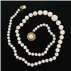 Image 8 : Antique Graduated White Angel Skin Coral Necklace & 14K Gold Hand Engraved Clasp
