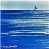 Image 3 : Fluke by Wyland Original