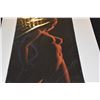 Image 3 : VELVET PAINTINGS (3 PCS)