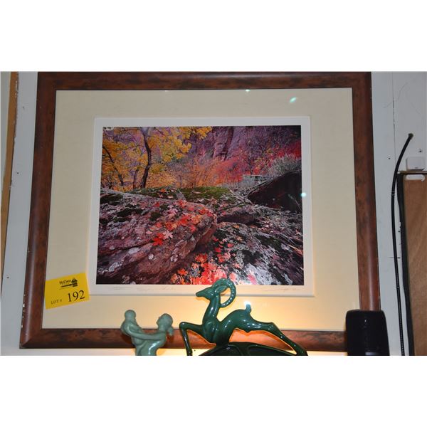 FRAMED ORIGINAL CIBACHROME PHOTOGRAPH, SYMPHONY IN NOVEMBER, DESERT SOUTHWEST; SIGNED MICHAEL FATALL