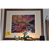 Image 1 : FRAMED ORIGINAL CIBACHROME PHOTOGRAPH, SYMPHONY IN NOVEMBER, DESERT SOUTHWEST; SIGNED MICHAEL FATALL