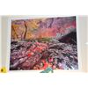 Image 2 : FRAMED ORIGINAL CIBACHROME PHOTOGRAPH, SYMPHONY IN NOVEMBER, DESERT SOUTHWEST; SIGNED MICHAEL FATALL