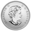 Image 2 : 2014 25c 2014 FIFA World Cup™ - Coloured Coin