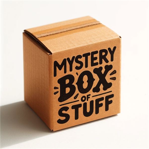 MYSTERY BROWN BOX of STUFF- Coins, Banknotes, Supplies, Numismatics, Coin Dealer's Stock Clearance, 