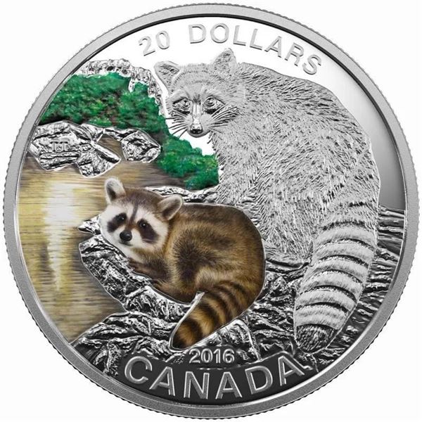 2016 $20 Baby Animals: Raccoon - Pure Silver Coin